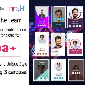 team member addon for elementor