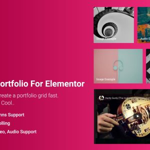 Tiny Portfolio Widget For Elementor