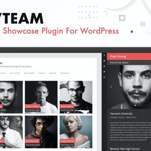 DV Team - Team Showcase Plugin For WordPress