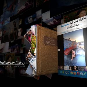 Revolution Multimedia Gallery Wordpress Plugin