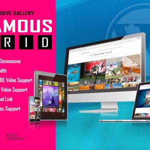 Famous - Responsive Image And Video Grid Gallery