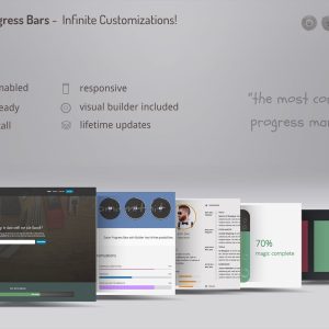 Zoom Progress Bars with Builder WP Plugin